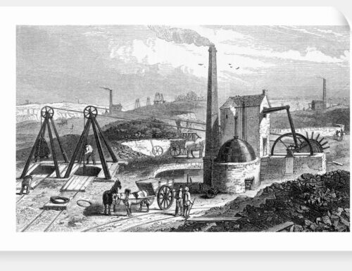 Old Miner