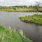 Banks of the Bann